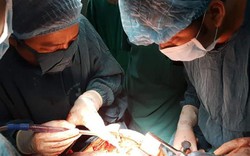 Bệnh viện tỉnh Quảng Trị mổ thành công khối u nặng gần 1kg