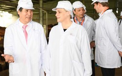 Thứ trưởng Hà Lan thăm vùng chăn nuôi bò sữa tại Hà Nam