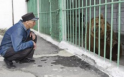 Phạm tội nguy hiểm, gấu ngồi tù chung thân tại nhà giam an ninh cực ngặt