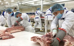 Masan đóng cửa nhà máy chế biến thịt nghìn tỷ để chống dịch tả lợn châu Phi
