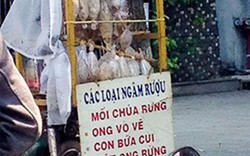 "Sung dược" chốn phòng the: "Ông uống bà khen, cả xóm thèm"