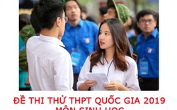 Đề thi thử THPT Quốc gia 2019 môn Sinh học của Bộ GDĐT