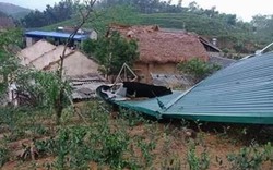 Thái Nguyên: 123ha lúa, 643 ngôi nhà bị thiệt hại do mưa đá, dông lốc