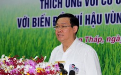 PTT Vương Đình Huệ: "Hỗ trợ hợp tác xã trong biến đổi khí hậu"