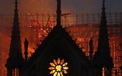 Tiên tri đáng sợ của Nostradamus về Nhà thờ Đức Bà bị cháy