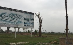 Làm rõ việc 2.000 ha đất dự án đô thị bị bỏ hoang: Thủ tướng nhắc Hà Nội lần 2