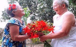 Cụ ông Ninh Thuận hái hoa tặng vợ và chuyện tình cảm động 40 năm