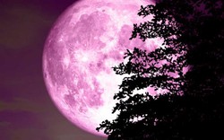 Ngày mai, hiện tượng trăng hồng độc đáo sẽ xuất hiện