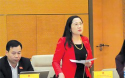 Đề nghị Bộ Công an giải trình việc xử lý vụ Nguyễn Hữu Linh dâm ô