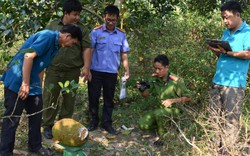 Làng quê bất an: Giá sốt, mít tặc như ranh, 1 đêm bay cả chục trái