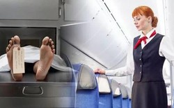 Ám ảnh với nữ tiếp viên hàng không: Người ngồi ghế hành khách là xác chết