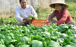 Chủ động phát triển lan tỏa phong  trào thi đua của nông dân