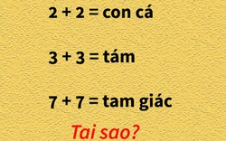 Loạt câu đố khiến bất kỳ ai cũng phải đổ mồ hôi