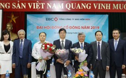 BIC tổ chức Đại hội đồng cổ đông thường niên năm 2019