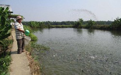 Quảng Nam: Dũng sỹ diệt Mỹ giờ xây được "biệt phủ" nhờ nuôi cá