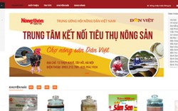 Ra mắt Trung tâm Kết nối tiêu thụ nông sản Báo Nông Thôn Ngày Nay/Chợ Nông sản Dân Việt