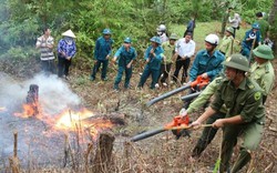 Nắng nóng như rang, 134 xã ở Thanh Hóa đối mặt nguy cơ cháy rừng