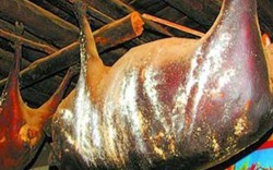 Đặc sản lợn nguyên con treo trên trần nhà 30 năm và bốc mùi hôi thối