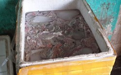 Lạng Sơn: Phát hiện 300kg lòng lợn bốc mùi hôi thối, biến màu xanh