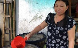 Thanh Hoá: Giọt mắm Khúc Phụ ngư dân uống mỗi chén khi ra khơi