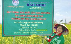 Bà Tổng giám đốc lội ruộng bán 50 loại gạo đặc sản ra khắp nước