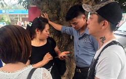Quảng Ninh: Bùng phát "cò" khách du lịch Hạ Long dịp lễ