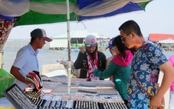 Kiên Giang: Gian nan nghề nuôi "báu vật" ở biển Phú Quốc