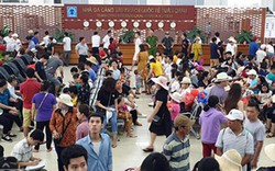 BQL vịnh Hạ Long nói gì về nạn “cò” khách tại cảng Tuần Châu?