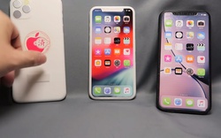 HOT: Bộ ba iPhone 2019 đã hiện nguyên hình