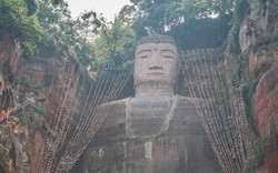 “Cây may mắn” mọc trên tượng Phật thu về gần 7 tỷ đồng