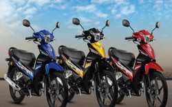 2019 Honda Wave Alpha màu mới giá 24 triệu đồng nhiều khác biệt