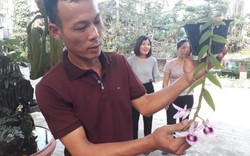 Lạ Thái Nguyên: Vườn lan siêu độc, giá cả chục triệu 1cm
