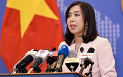 Phản ứng của Việt Nam về việc Trung Quốc cấm đánh bắt cá ở Biển Đông