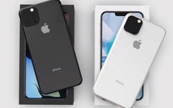 Đây chính là iPhone 2019, có cấu trúc ăng-ten hoạt động tốt hơn