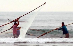 Săn 'lộc biển' với ngư cụ tự chế, ngư dân bỏ túi tiền triệu mỗi ngày