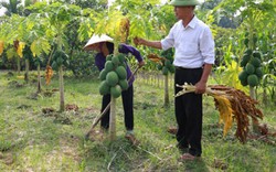 Hà Nội: Huyện nghèo Sóc Sơn xoay sở nâng cấp trường học, thủy lợi