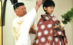Nhật Bản bắt giữ người đàn ông định đâm chết Hoàng tử Hisahito