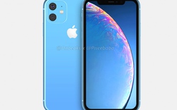iPhone XR 2019 quá đẹp, iFan lại phải móc hầu bao