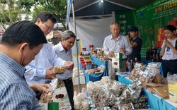 Đà Nẵng: Mê mẩn rau sạch, gà "chạy bộ" ở phiên chợ nông sản sạch