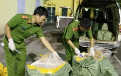 Lạng Sơn: Bắt giữ 500kg nầm lợn mốc đen, bốc mùi đang đi tiêu thụ