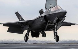 Siêu tiêm kích tàng hình F-35B Mỹ hỏng nặng vì đụng độ với... một con chim