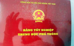 Sử dụng bằng cấp "dỏm", trưởng phòng giáo dục huyện bị khiển trách