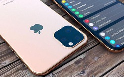 iPhone 11 với iOS 13 sẽ trông ra sao?