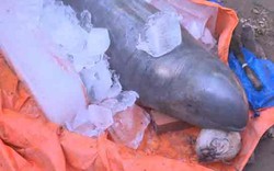 Cá lạ khổng lồ bắt được ở Bến Tre: Yêu cầu giữ nguyên hiện trạng