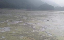 Thái Nguyên: Dân kêu cứu vì hồ nước đẹp nhất tỉnh bị ô nhiễm do nuôi cá lồng