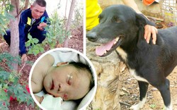 Chú chó 3 chân thành anh hùng khi cứu bé sơ sinh bị mẹ teen chôn