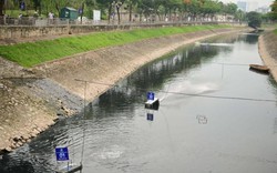 Sự khác biệt của nước sông Tô Lịch sau 6 ngày đặt “bảo bối” Nhật Bản