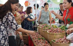 Bắt đầu tuần lễ mận và nông sản an toàn Sơn La tại Hà Nội