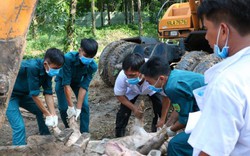 Sau Hậu Giang, An Giang, dịch tả lợn châu Phi xuất hiện ở Vĩnh Long