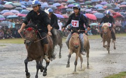 Hà Nội: Chưa hoạt động trường đua ngựa vẫn hút 4,75 tỷ USD vốn FDI